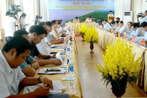 Cà Mau nên sớm báo cáo Thủ tướng mô hình xã hội hóa đầu tư kè chống sạt lở