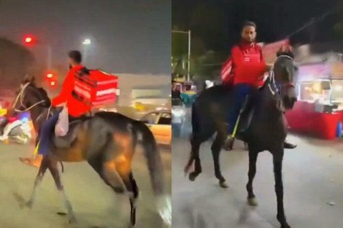 Đợi đổ xăng quá lâu, shipper về lấy ngựa đi giao hàng