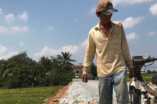 Nông dân Tây Nam Bộ tất bật thu hoạch dưa gang cuối năm