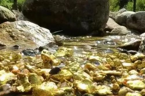 Con suối xuất hiện đá lạ lấp lánh vàng, chuyên gia lập tức phong tỏa