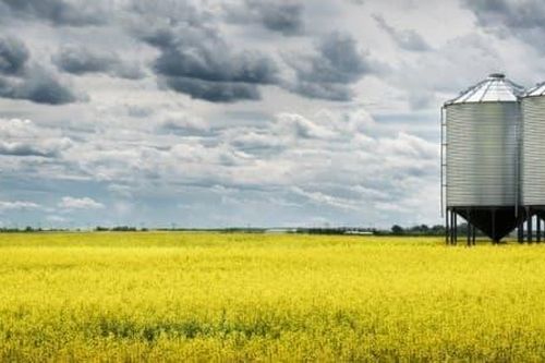 Kazakhstan tăng gấp bốn lần xuất khẩu ngũ cốc sang Trung Quốc