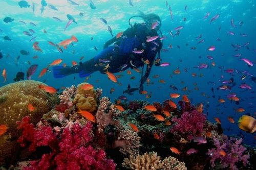 Quần đảo Fiji nhân rộng các mô hình du lịch sinh thái