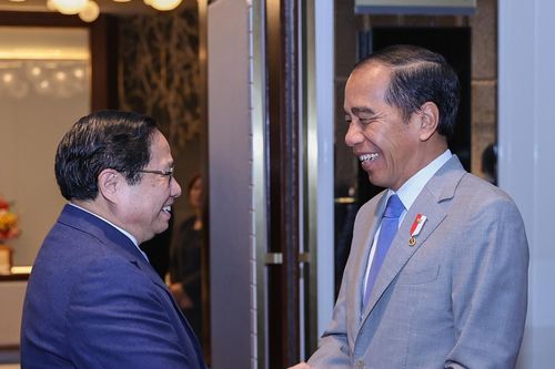 Tổng thống Joko Widodo muốn doanh nghiệp Việt đầu tư vào thủ đô mới Indonesia