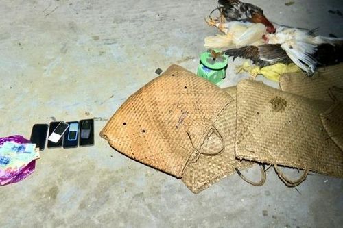 Triệt xóa tụ điểm đánh bạc ẩn nấp trong cánh đồng lúa, bắt giữ 13 đối tượng
