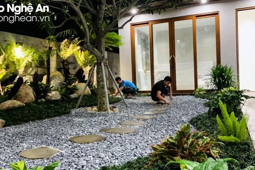 Thợ làm vườn Nghệ An 'quá tải' đơn hàng cuối năm