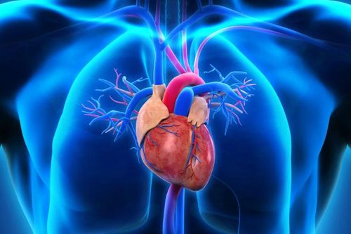 Phát hiện đột biến gene tạo máu liên quan đến nguy cơ mắc bệnh tim
