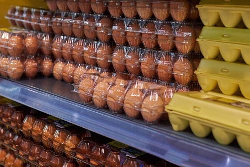 Sản lượng trứng gia cầm của Nga trong năm 2023 đạt mức kỷ lục