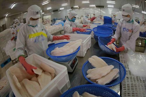 'Cải cách mạnh thể chế, tạo môi trường, cơ hội chứ không phải tháo gỡ'