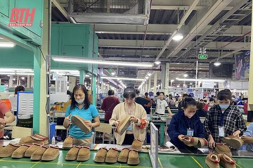 Xuất khẩu một năm nỗ lực vượt khó
