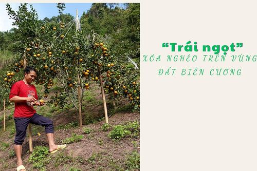 'Trái ngọt' xóa nghèo trên vùng đất biên cương