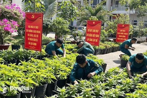 Bộ đội làm đẹp khuôn viên đơn vị đón Tết