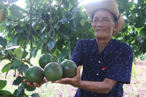 Chư Pưh gặp khó trong phát triển sản phẩm OCOP