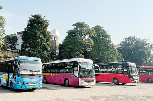 Không để ai lỡ hẹn đường Xuân