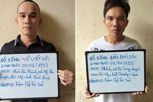 'Ăn' hàng trăm gốc sâm Ngọc Linh, nhiều đối tượng sa lưới