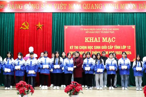649 thí sinh tham dự thi Kỳ thi chọn học sinh giỏi cấp tỉnh lớp 12 THPT năm học 2023 - 2024