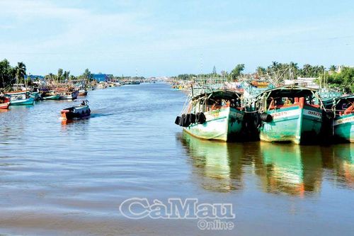 Quy định tàu vào cảng cần sát thực tế