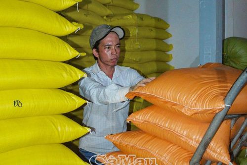 Chà gạo ăn Tết