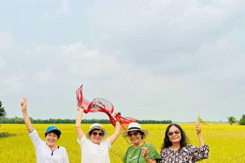 Tái hôn tuổi xế chiều