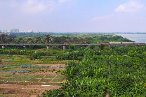 'Đánh thức' bãi giữa sông Hồng