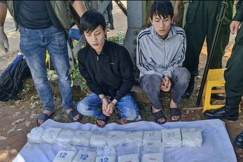 Hai anh em ruột vận chuyển thuê 20 kg ma túy đá vào TP Hồ Chí Minh