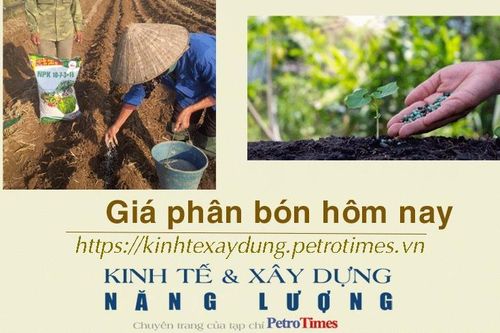 Giá phân bón hôm nay 14/1: NPK ổn định