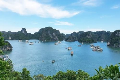 Tripadvisor: Vịnh Hạ Long và Sa Pa trong tốp 5 điểm đến xu hướng hàng đầu thế giới