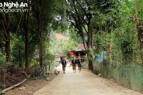Rừng me cổ thụ giữa bản làng người Thái Nghệ An