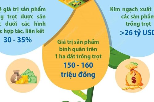 Kim ngạch xuất khẩu các sản phẩm trồng trọt hướng đến mục tiêu 26 tỷ USD