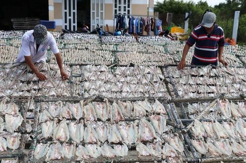 Tiền Giang: Làng nghề cá khô Vàm Láng nhộn nhịp sản xuất phục vụ Tết Nguyên đán