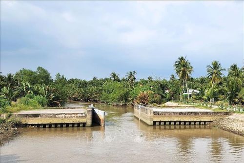 Dự án Đê bao sông Măng Thít góp phần thúc đẩy phát triển kinh tế - xã hội