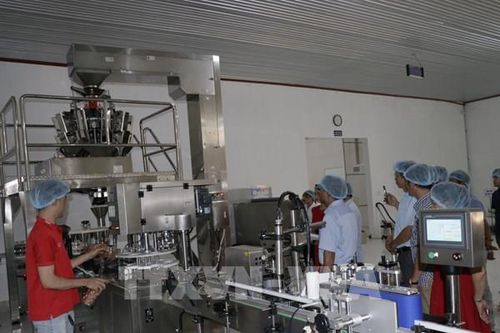 Nhiều giải pháp kết nối cung - cầu lao động được triển khai
