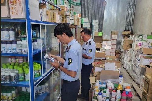 Kiên Giang: Xử phạt trên 100 triệu đồng cơ sở kinh doanh thuốc bảo vệ thực vật
