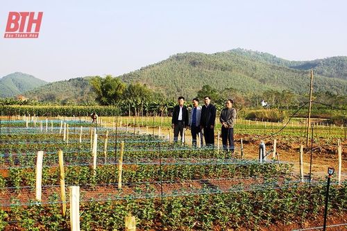 Lan tỏa việc học và làm theo Bác ở Đảng bộ huyện Hà Trung
