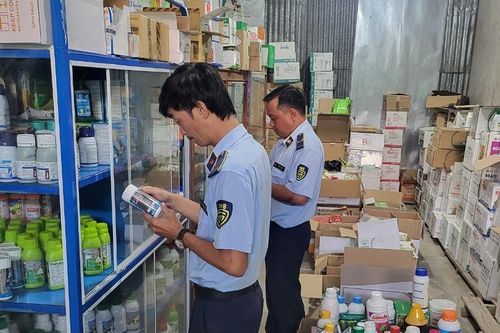 Kiên Giang: Xử phạt cơ sở vi phạm kinh doanh thuốc bảo vệ thực vật