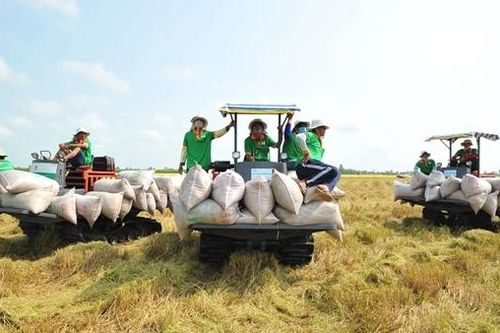 Đẩy mạnh cơ cấu lại nông nghiệp để đạt mục tiêu tăng trưởng cao nhất