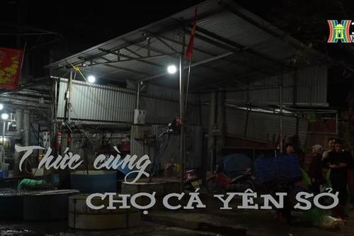 Thức cùng chợ cá Yên Sở | Nhịp sống Hà Nội | 14/01/2024