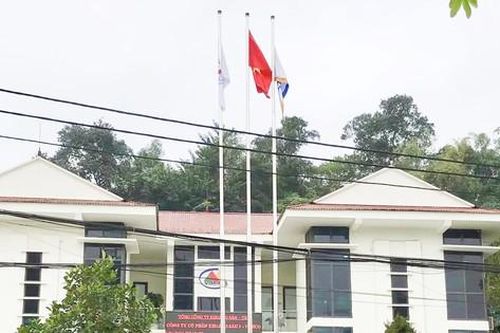 Một doanh nghiệp bị phạt hơn 200 triệu đồng do vi phạm luật bảo vệ môi trường