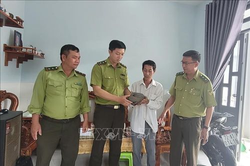 Người dân bàn giao tê tê cho kiểm lâm