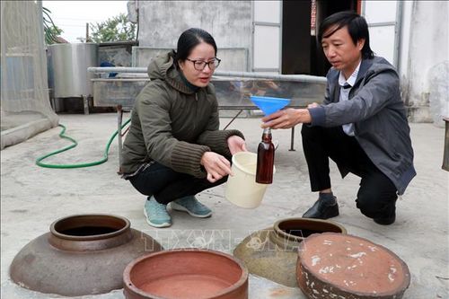 Làng nghề hàng thực phẩm tăng công suất kịp giao hàng Tết