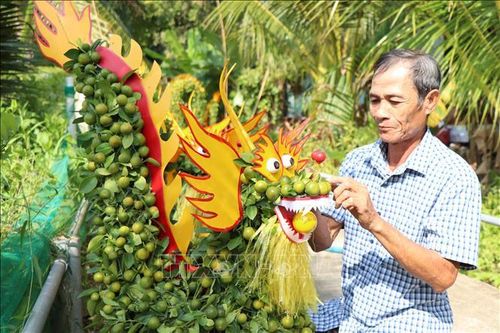 Quất cảnh tạo dáng hình rồng được thị trường săn đón