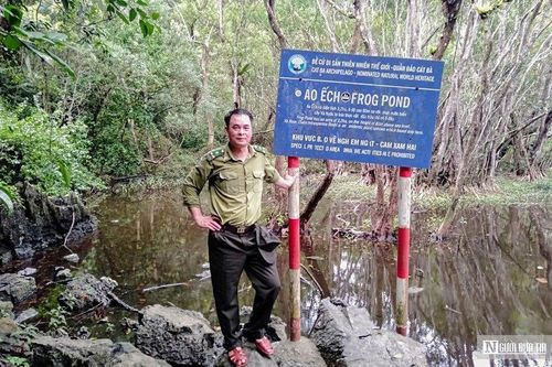 Hải Phòng: Thăm 'thiên đường' mang tên Ao Ếch ở Vườn quốc gia Cát Bà