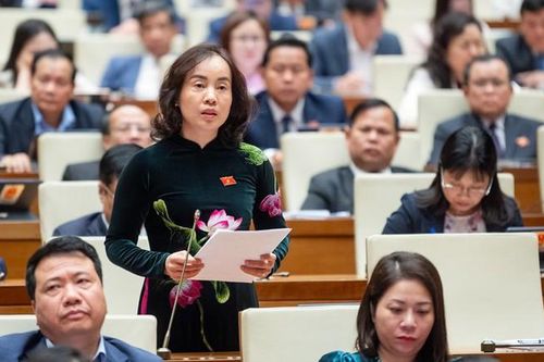 Dự thảo Luật Đất đai (sửa đổi): Lo ngại việc chuyển mục đích sử dụng đất lúa, đất rừng