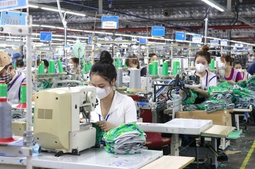 Thị trường lao động: Còn những gập ghềnh