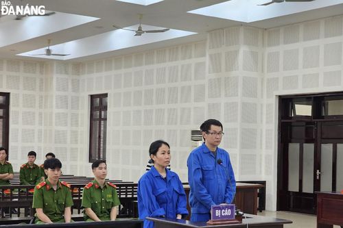 Vợ chồng cùng lãnh án vì lừa đảo chiếm đoạt hàng chục tỷ đồng