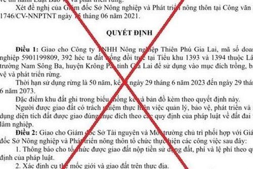 Đề nghị chuyển vụ giả mạo quyết định của UBND tỉnh đến Công an để điều tra