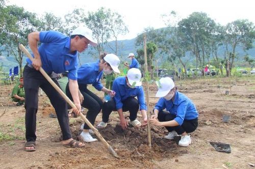 Lễ phát động Tết trồng cây xuân Giáp Thìn 2024 sẽ diễn ra ngày 15-2