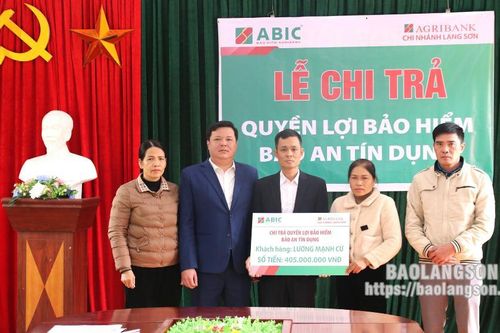 Chi trả trên 400 triệu đồng cho khách hàng tham gia bảo hiểm Bảo an tín dụng