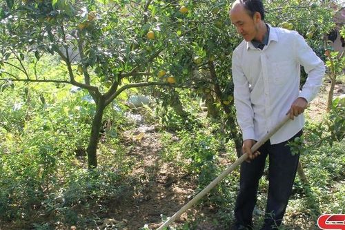 Người nông dân sản xuất giỏi