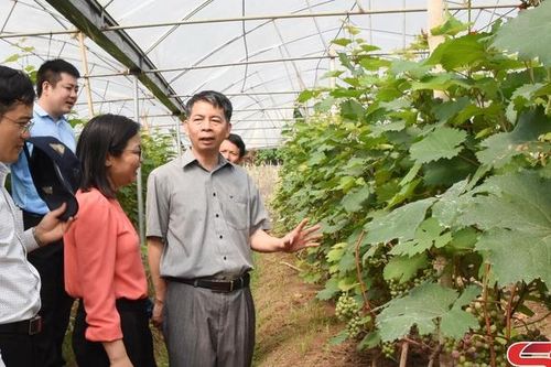 Khoa học công nghệ - động lực phát triển
