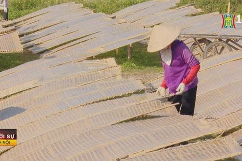 Làng nghề Hà Nội sẵn sàng cung ứng hàng Tết